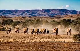 14 top tourist attractions in namibia